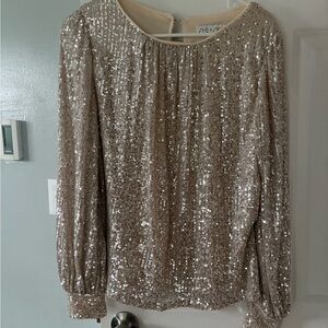 Sequin Long Sleeve Top - Silver